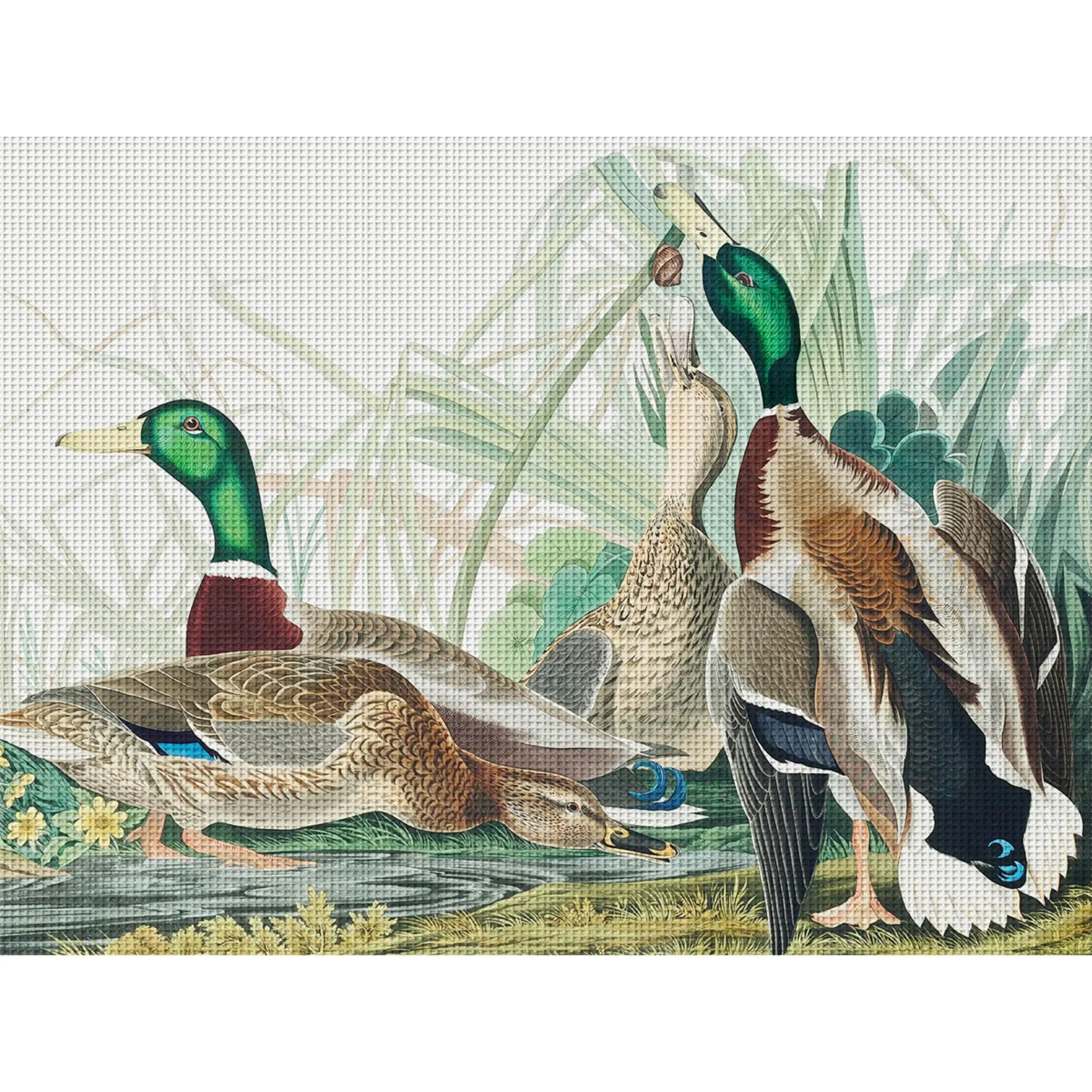Kit Punto Croce Realistico con Gruppo di Anatre Selvatiche, Ricamo Fai da Te 11Ct, Kit Punto Croce per Decorazione Murale e Regali, Materiali Fatti a Mano Senza Cornice (Prodotto Semi-Finito) 36X46Cm/14.17X18.11In