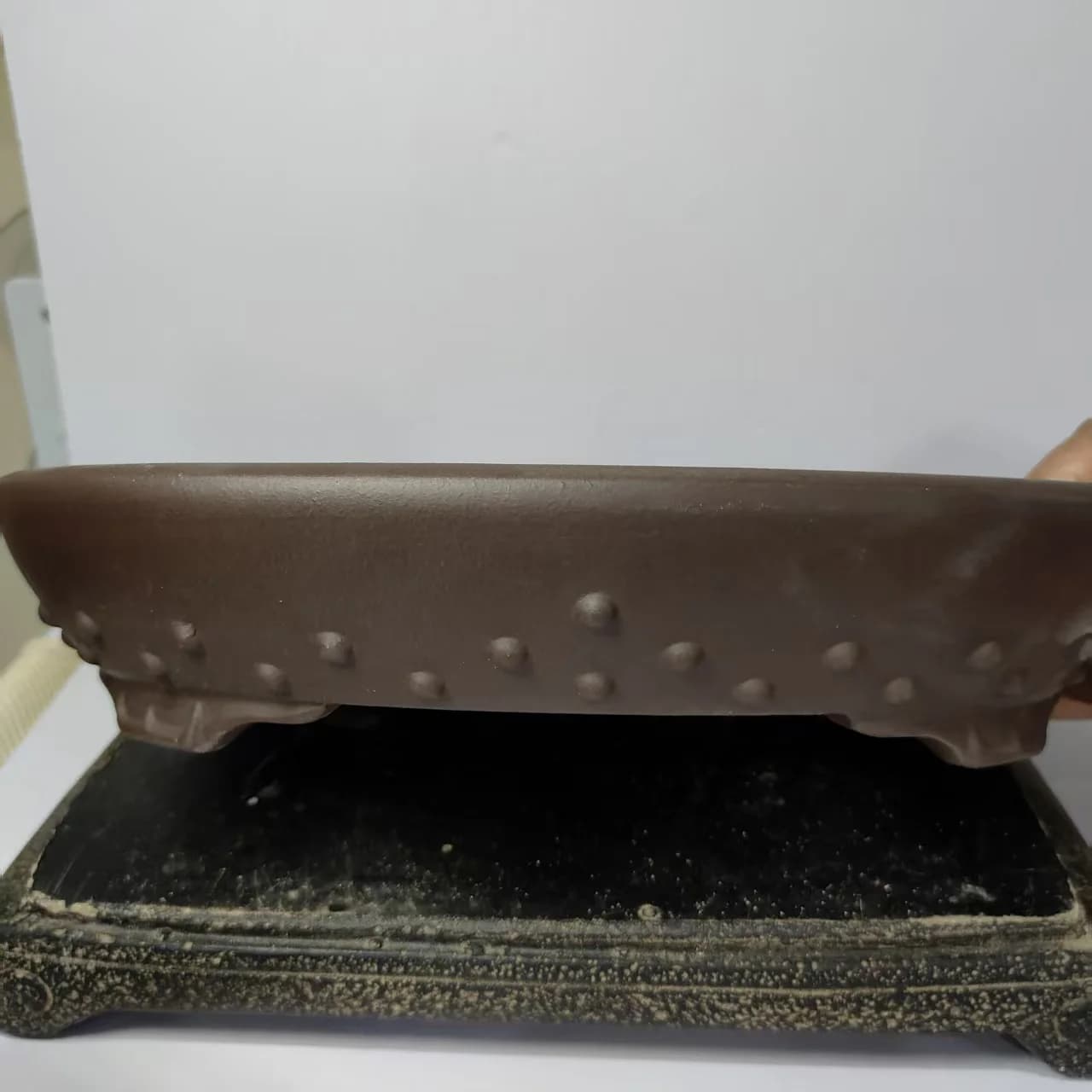 Pentole per bonsai poco profonde Yixing Pentola ovale non smaltata con design per unghie