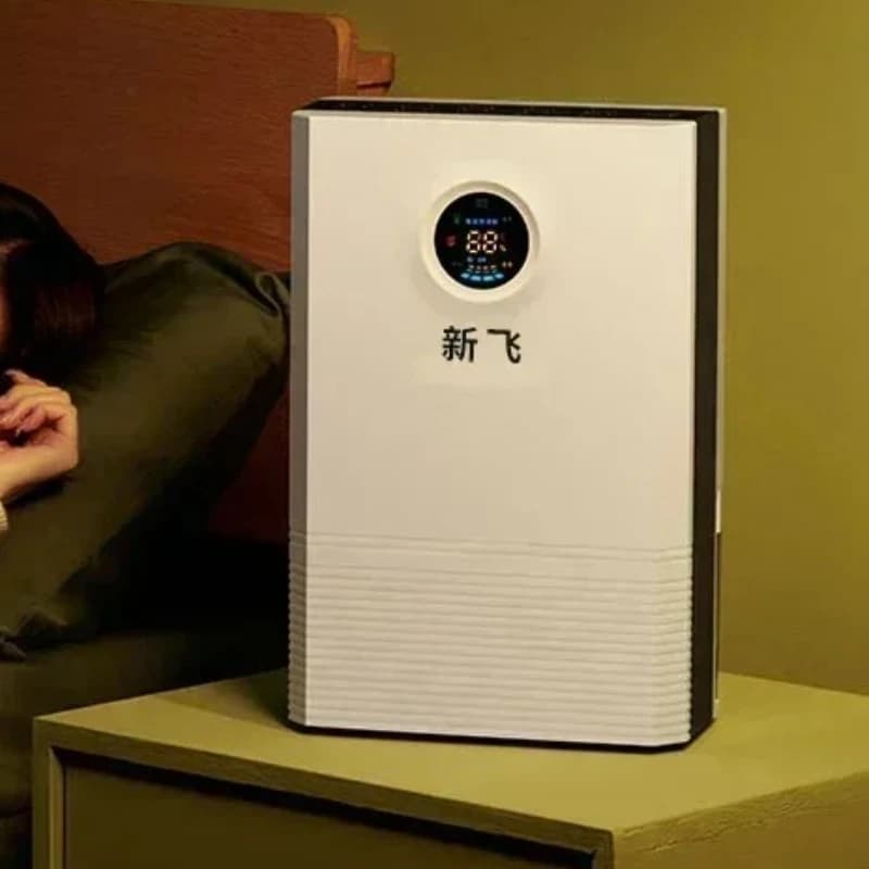 Deumidificatore Per Uso Domestico Silenzioso Deumidificazione Per Interni Deumidificazione Camera Da Letto Asciugatura Deumidificatore Seminterrato Deumidificatore