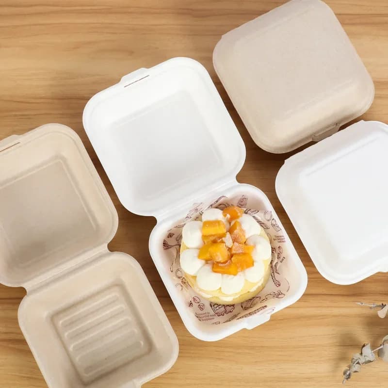 Scatola per il pranzo usa e getta da 50 pezzi contenitore per alimenti ecologico Bento Box contenitore per alimenti per imballaggio per la preparazione dei pasti per Hamburger di frutta