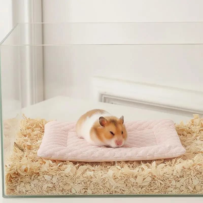 Tappetino Rinfrescante Traspirante per Animali Domestici, Cuccia Estiva Rinfrescante Antiscivolo per Cani e Gatti di Piccola Taglia, per Divano, Pavimento, Uso Domestico