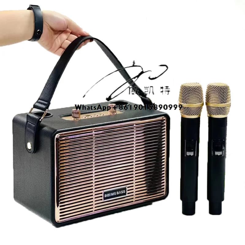 Lettore musicale portatile con sistema karaoke portatile Bluetooth Potente altoparlante per feste Macchina per canto Altoparlante per karaoke con microfono