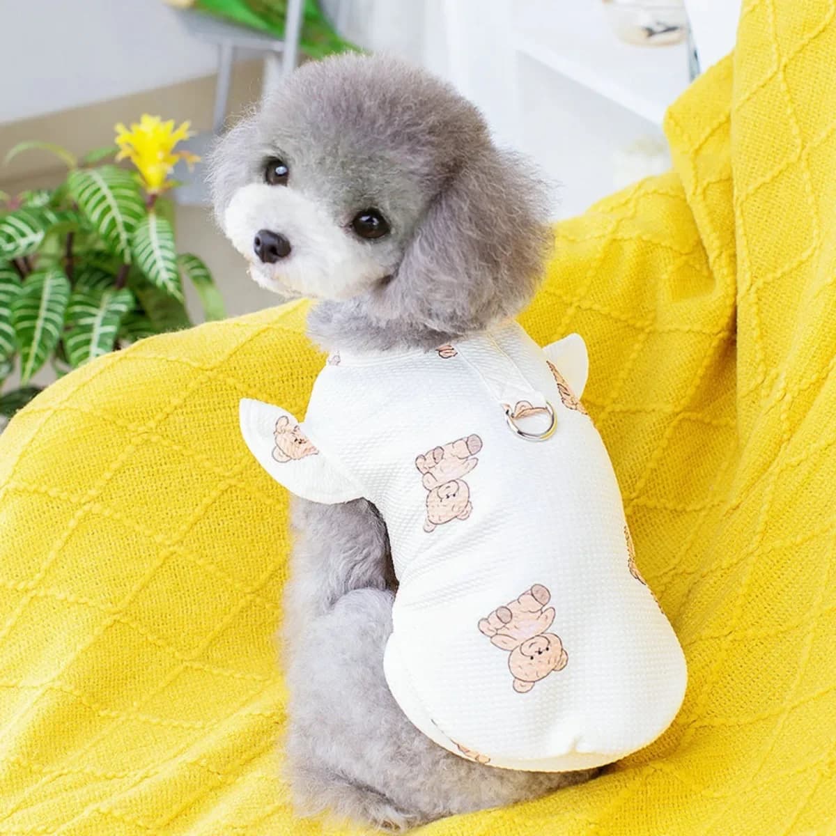 Brown Bear Pulling T-shirt Can Hang Pulling Rope Cat Same Small and Medium Sized Dog Clothing