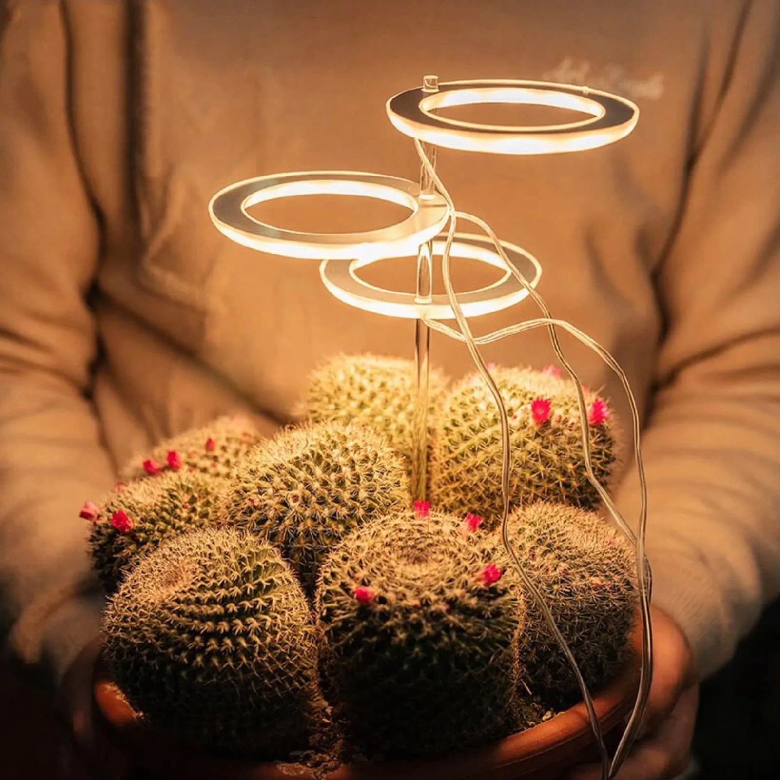 5V LED USB Angelo Anello Pianta Coltiva La Luce Per Succulente Spettro Completo Phyto Lampada Piantina di Serra di Fiori Interni
