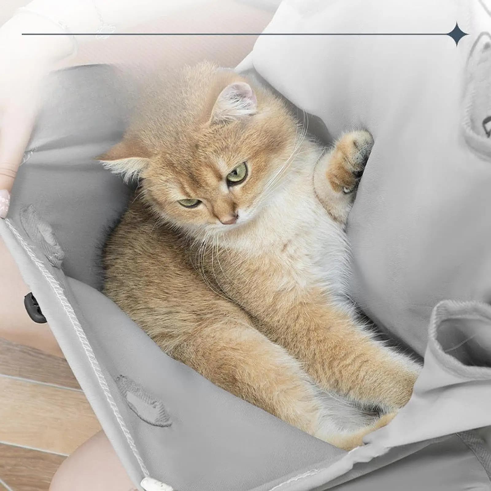 Apron for cats, weighted chest bag, carrying bag for breathable front shoulder, sleeping bag for cats, transport bag for hiking