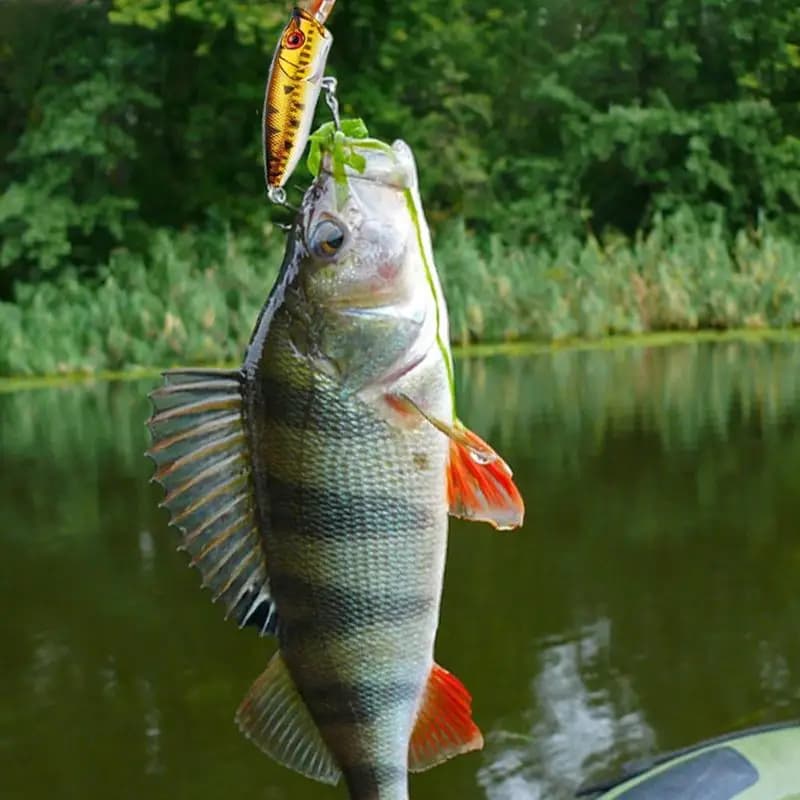 Advent Calendar Fishing baits 2024 Countdown Kit of fishing gear on the lake Box Creative kit of freshwater trout baits attracting large edges