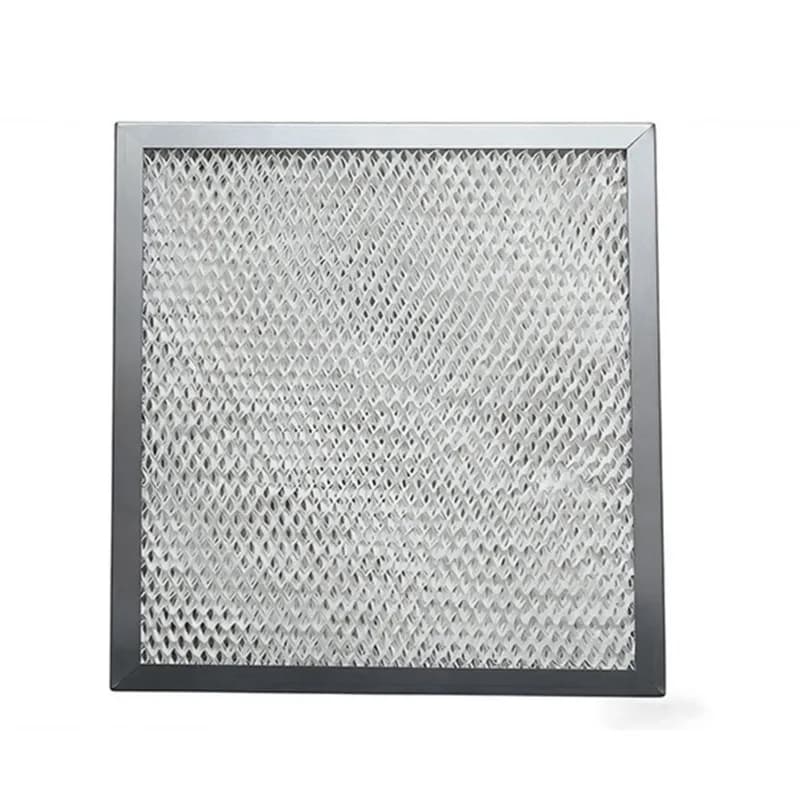 【Scelta Popolare】Accessori di Ricambio per Umidificatore Generalaire 1099-20 - Filtro Acqua per Vaporizzatore, Confezione da 2