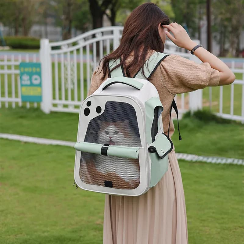 Small Animal Carrier Cat Backpack Carrier Pets Bag Pet Backpack Portable for Travel Bag Cat Handbag Bolsas Para Mascotas