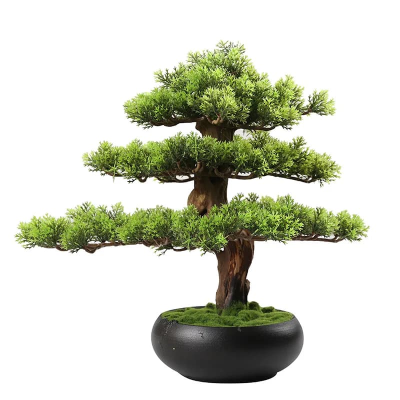 Ornament Zen a Forma di Pino Simulato, per Soggiorno, Entrance Hotel, Piante Bonsai Verdi, Small Plants in Vase, Desk Decoration