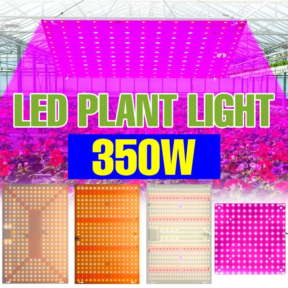 LED Lamp for Cultivation Plants Complete 300W, Lighting for Semenzai, Serre, Fruit, Flowers and Vegetables