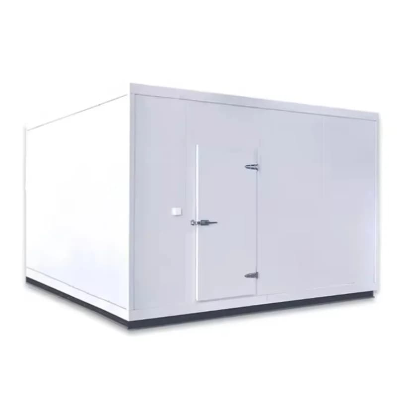20Ft Commercial Cold Room Container Freezer with Refrigeration Unit for Quick Freezing and Food Storage Solutions