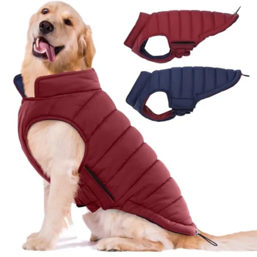 Cappotto Reversibile per Cani, Giacca Impermeabile Antivento, Gilet Imbottito per l'Inverno, Cappotti Leggeri e Caldi per Cani di Taglia Grande, Cappuccio Regolabile