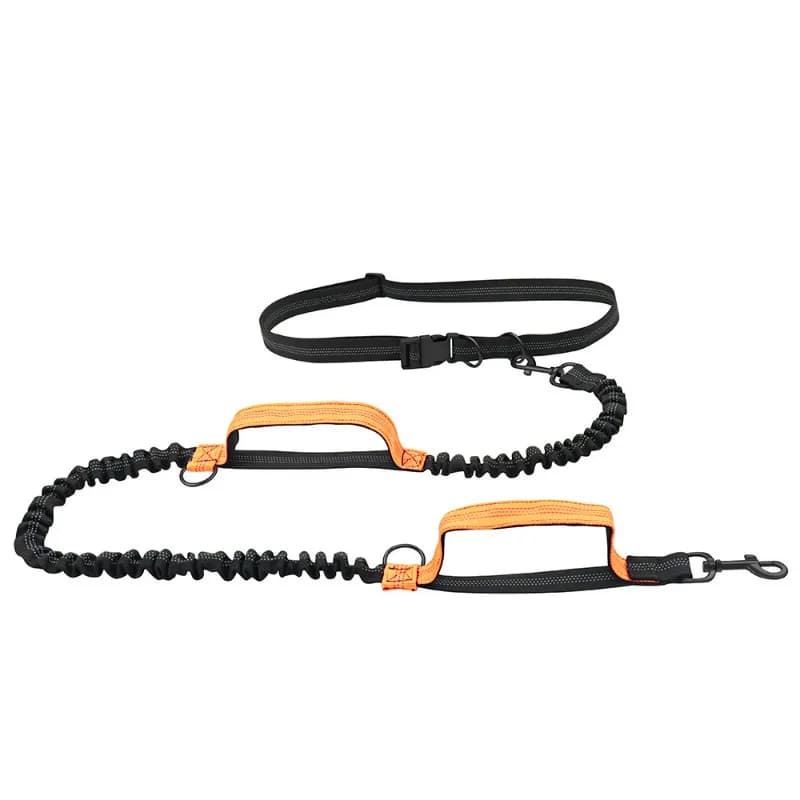 Reflective Pet Leash With Waist Belt Elastic Retractable Dog Walking Rope Adjustable For Home Daily Use