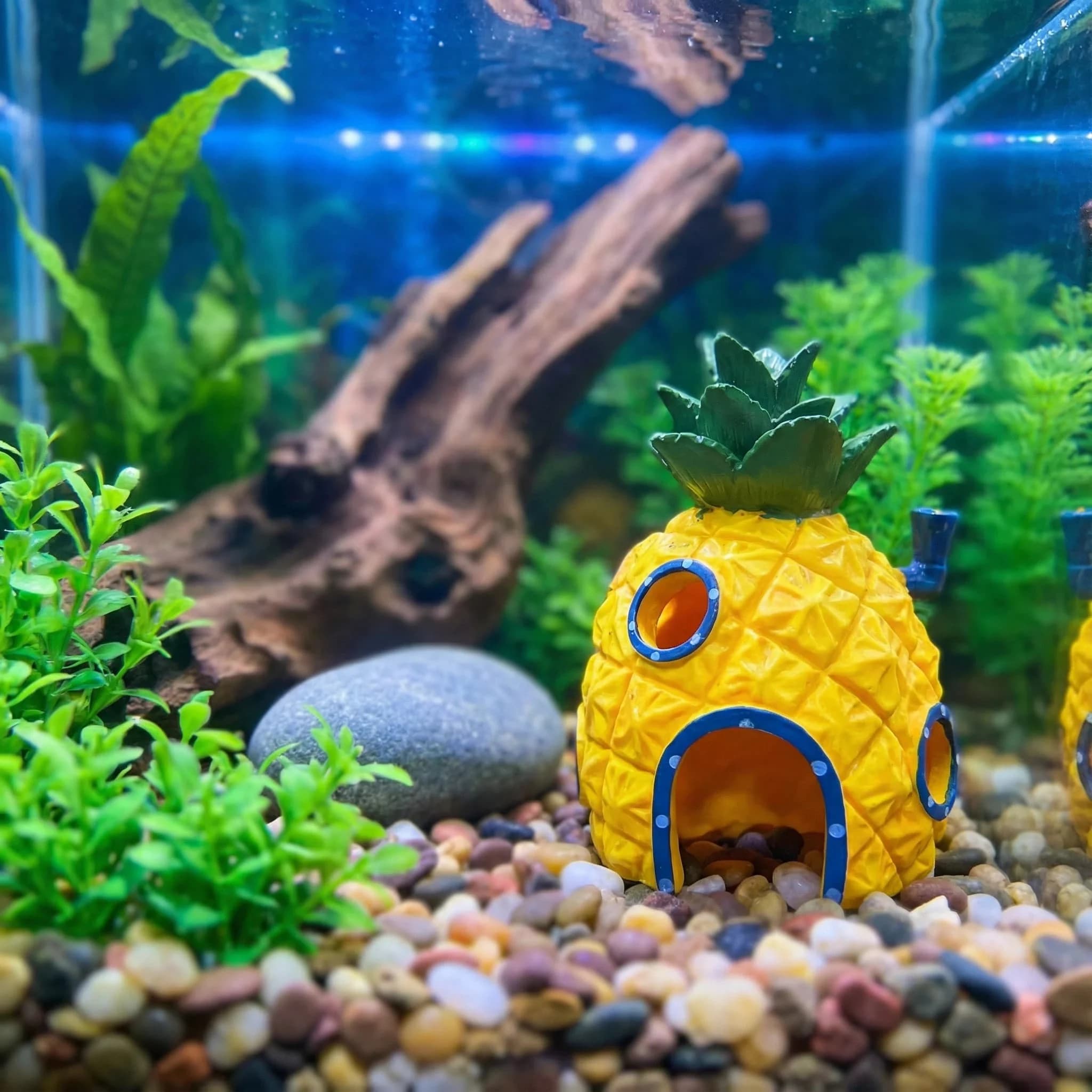 Pineapple House Aquarium Decor， Eco-Friendly Resin Hiding Cave for Betta Shrimp， Fish Tank Ornament with Smooth Edge 4.52 Inch