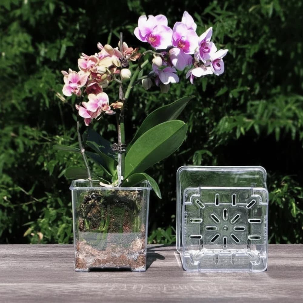 Transparent Material Acrylic Planting Pot Drainage Hole Reusable Transparent Flower Pot Breathable Orchid Special Flowerpot
