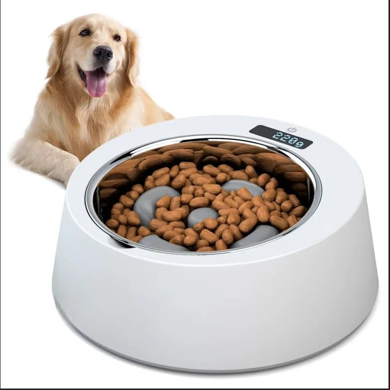 Ciotola anti-ribaltamento per animali domestici con funzione di pesatura, ciotola anti-ingozzamento per alimentazione lenta, ciotola per cani di taglia media e piccola.
