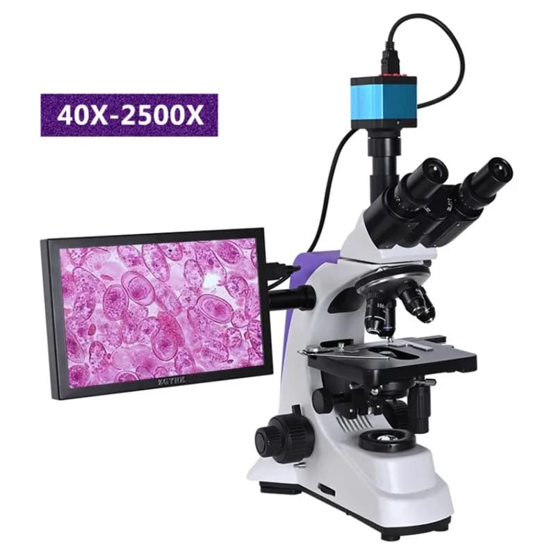【Vendita calda】 Microscopio trinoculare HD biologico da laboratorio professionale Zoom 2500X + USB digitale elettronico da 2/16 MP + LC da 10 pollici