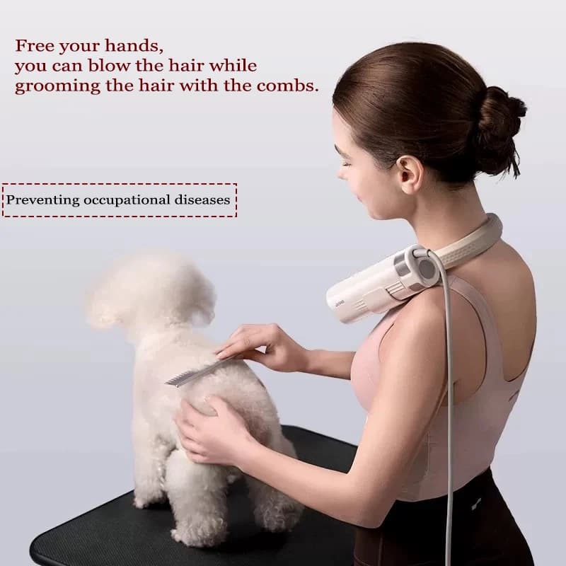 Animals 220V Pet Swimwear Portable Hair Dryer with Animal Cutanea Lamp 360° ° Adjustable neck blower for pet groomers