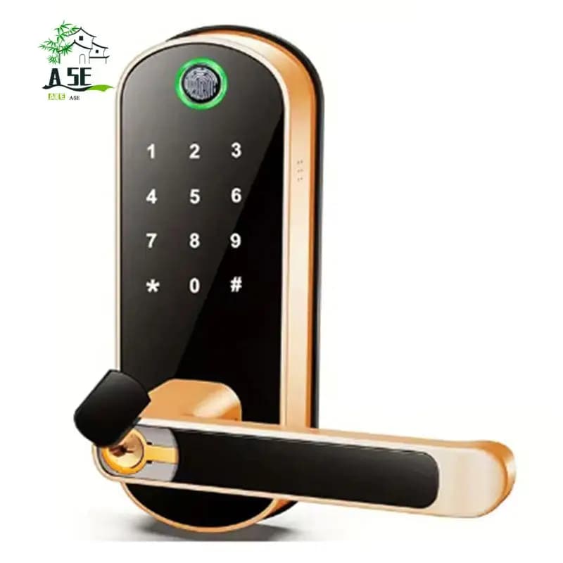 A05E-Tuya Serratura Intelligente WiFi con Impronta Digitale, Controllo Remoto tramite App, Senza Chiave, Touchscreen Digitale, IP67