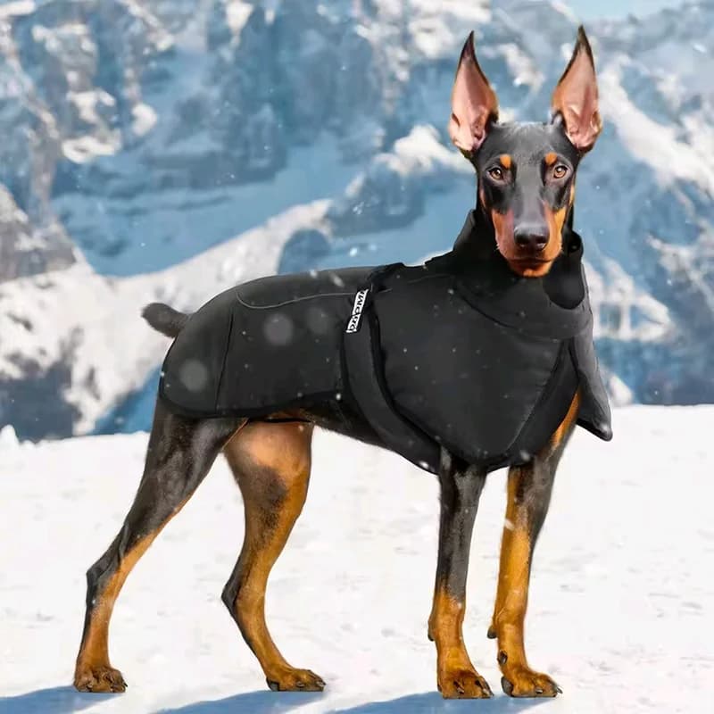 Doberman Autunno Inverno Vestiti Caldi Per Cani di Grandi Dimensioni Impermeabile Gilet per Cani di Grandi Dimensioni Giacca Addensare Cappotto per Cani Bulldog Labrador Abiti