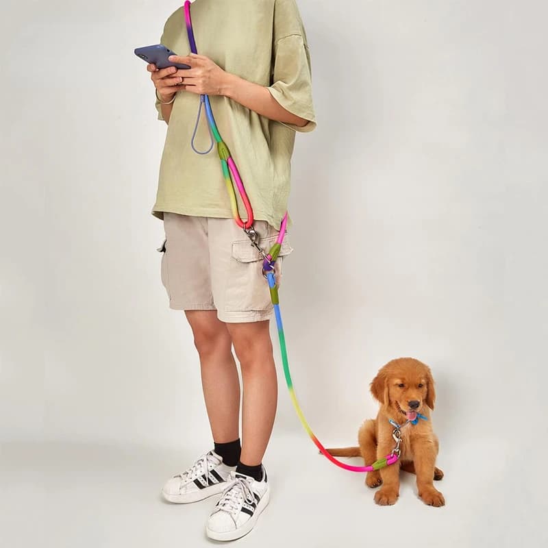 Reflective Nylon leashes for dog company traction chain for running free hand rope chain for small dogs