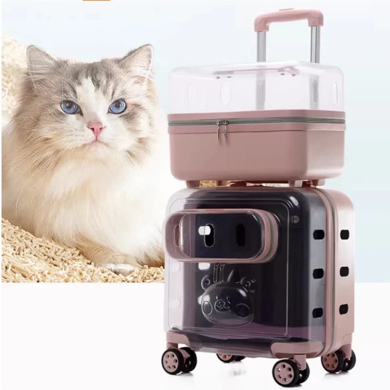 Trasportino per Gatti a Doppio Strato con Ruote, Passeggino Trasparente per Animali Domestici, Capsula Spaziale, Zaino da Viaggio per Cani e Gatti, Ventilato, Accessori per Animali