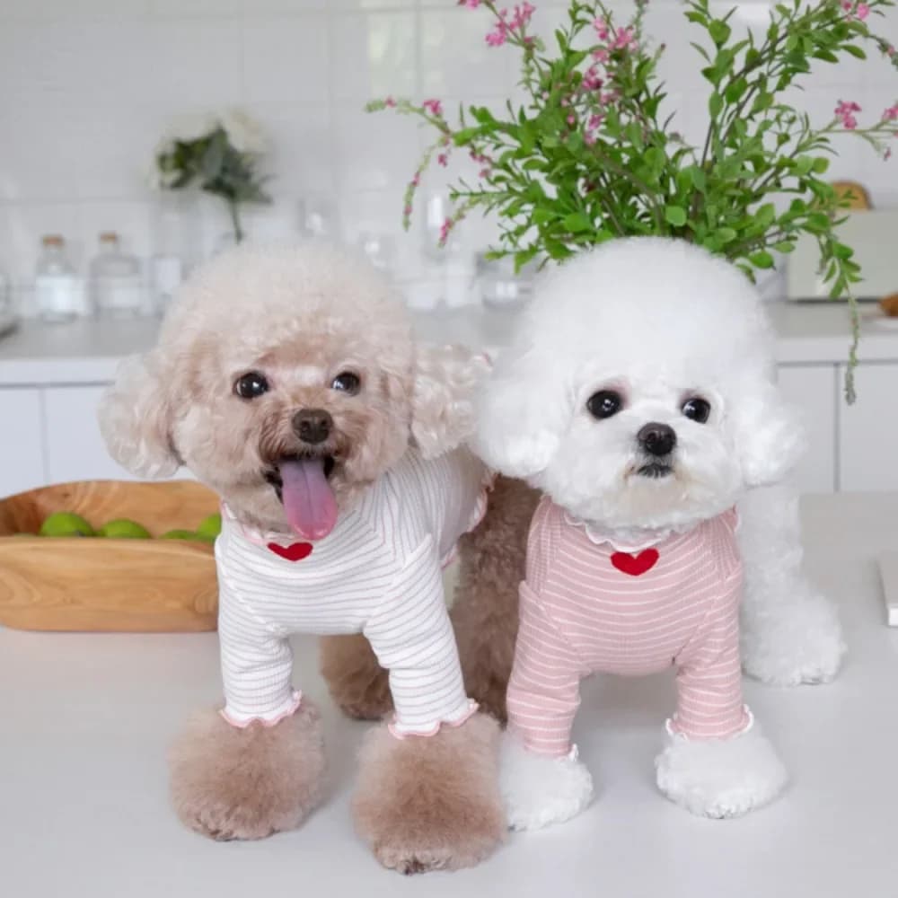 Autunno Inverno Amore Camicia con fondo a righe ricamate Canotta con stampa per la casa carina Vestiti per animali T-shirt per cani Vestiti per cuccioli Vestiti per gatti