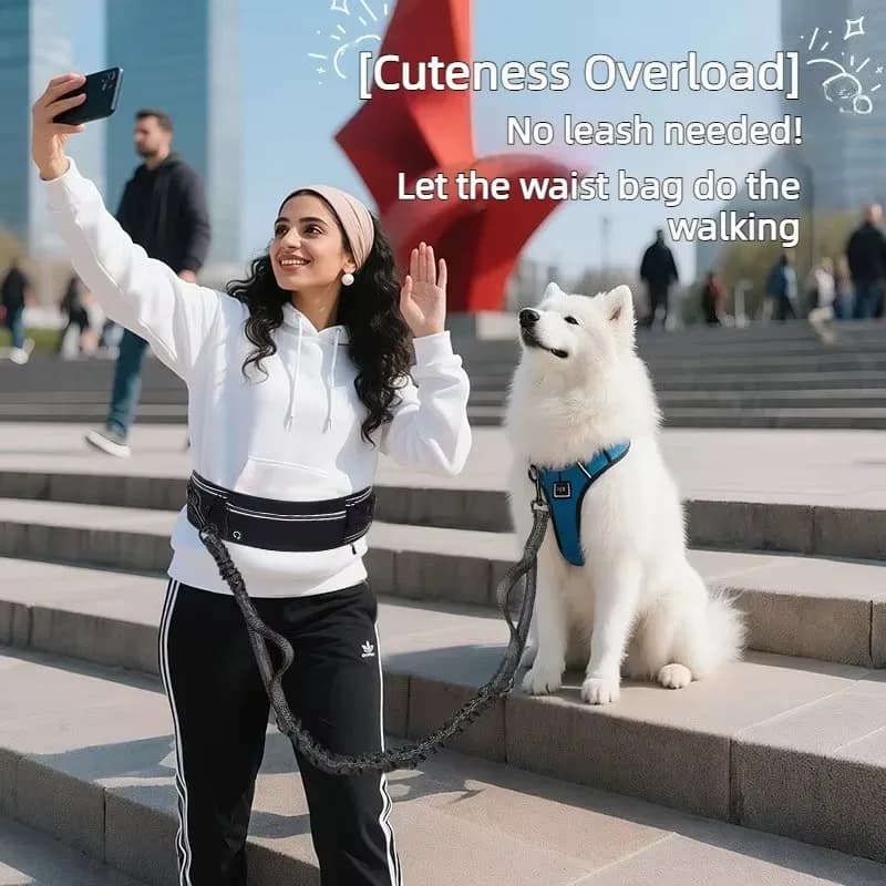 FurStarHands Free Running Belt Retractable Dog Leash Anti Pull Shock Absorber Multi Functional Pet Waist Bag For Jogging Walking