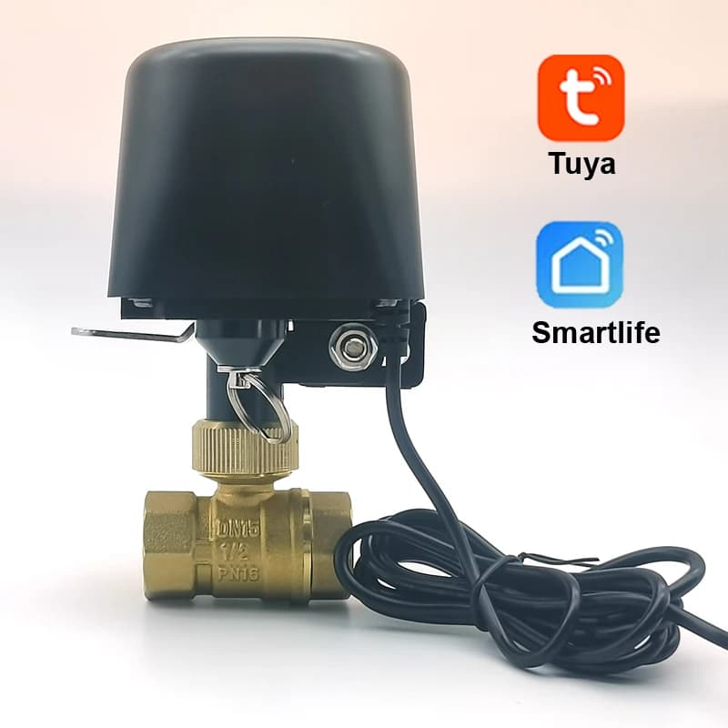 Tuya Zigbee WIFI Smart Water Valve DN15 DN20 DN25 DN32 Automation Control Faucet Timer Support Alexa Google Assistant SmartLife
