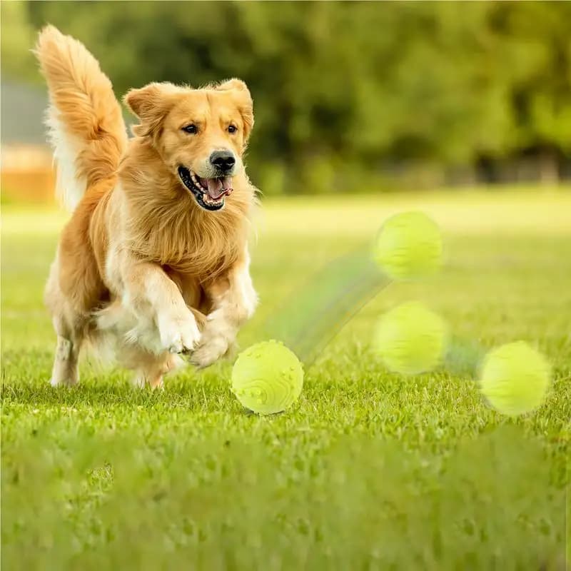 Denti di cane Palline da tennis sicure Facile da catturare Palla per cani da compagnia Cucciolo Fetch Palline da tennis Sollievo dalla noia Massaggiagengive Giocattolo Facile da mantenere