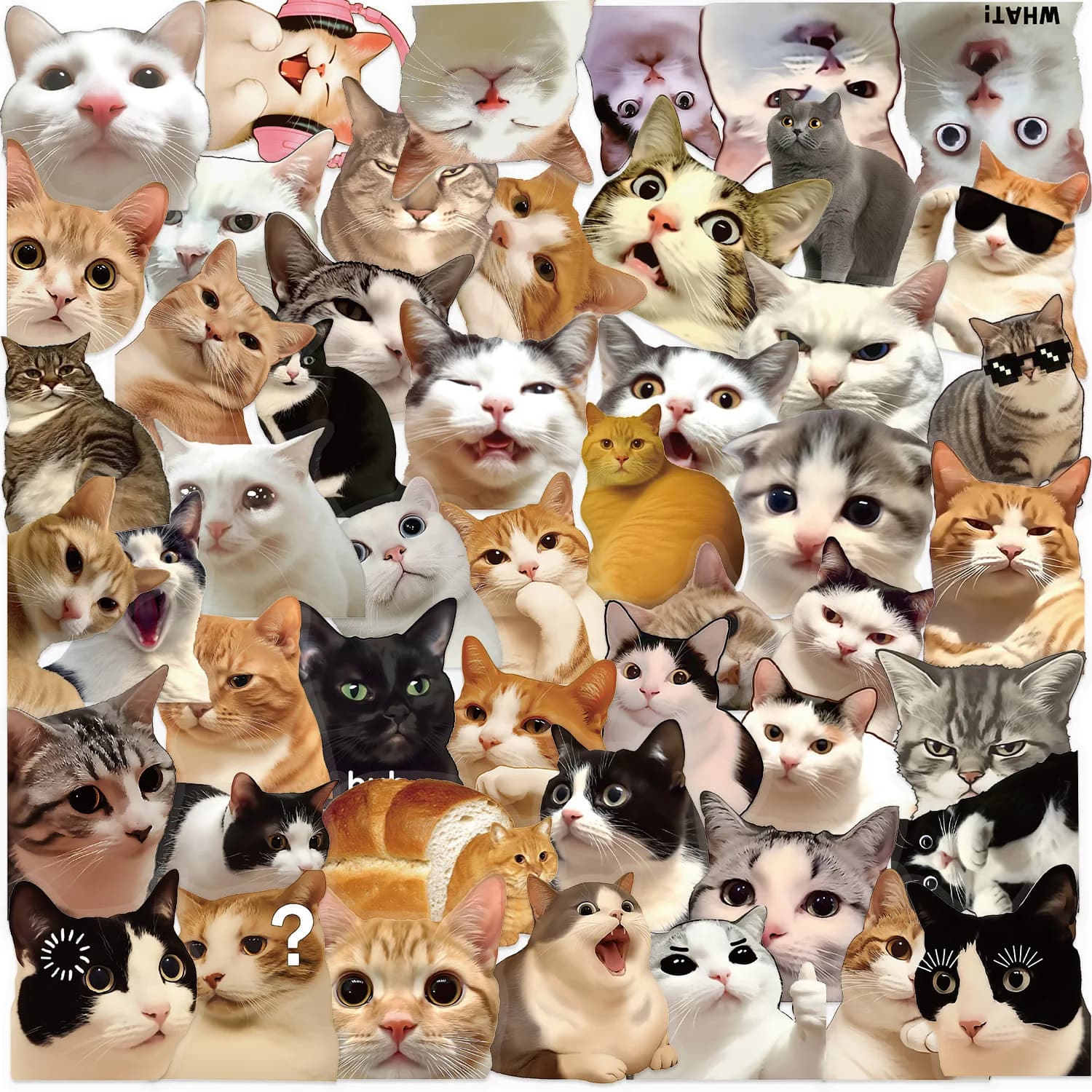 50/100 Pezzi Adesivi Trasparenti in PET con Gatti Cartoon Divertenti, Impermeabili, per Laptop, Scooter, Cancelleria e Quaderni
