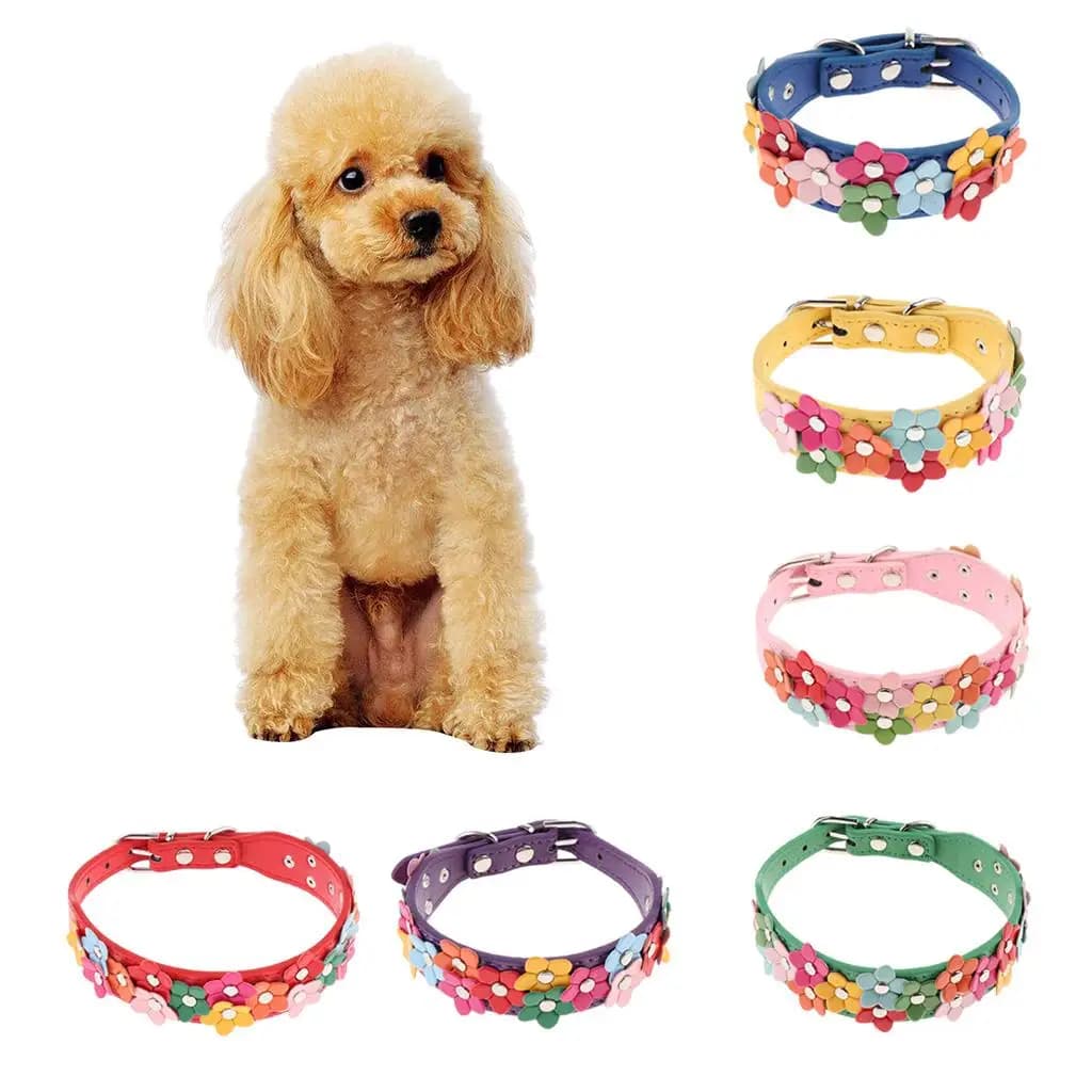 Collari per cani da compagnia colorati per cani cuccioli di gatto Chihuahua Teddy piccoli animali