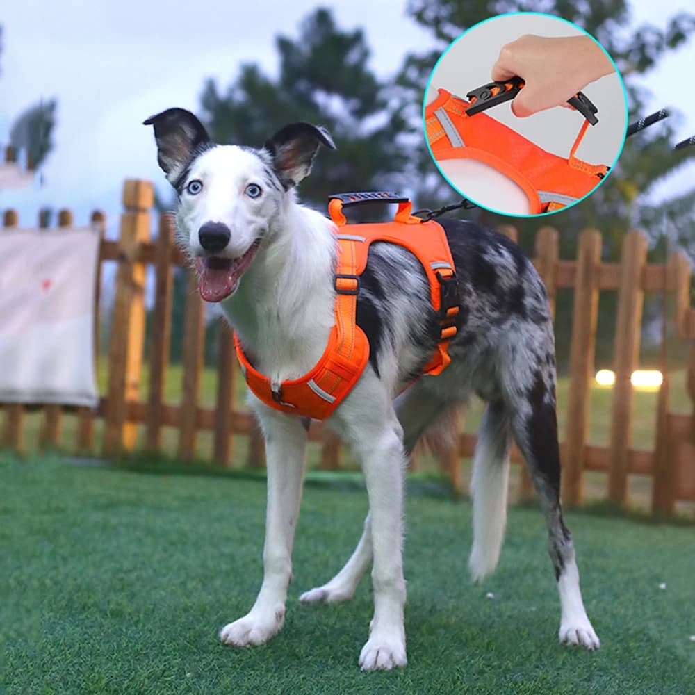 Sturdy Durable Big Dog Harness With Grip No Pull Pet Harnesses for Medium Large Dogs Greyhound Bulldog Mascotas Accessories