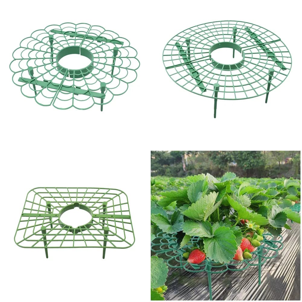 Support for strawberry support Balcony support Rack plant Fruit support Plant Plant Climbing Flower Screw Pillar Garden Support