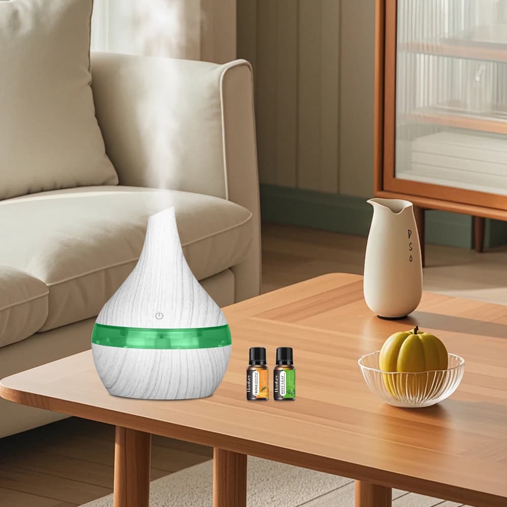 Diffusore per la casa Diffusore umidificatore USB da 300 ml compatto portatile per piccole stanze da viaggio
