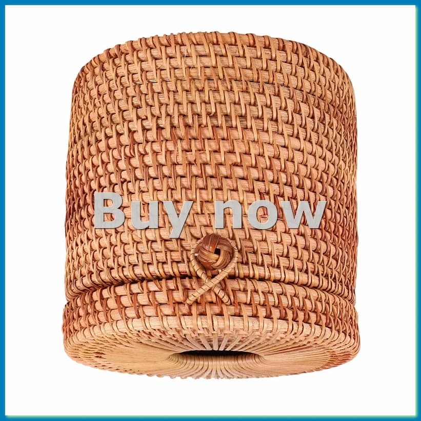 Porta Fazzoletti in Rattan, Copri Carta Igienica Decorativo in Vimini con Coperchio per Conservare Rotoli Singoli e Fazzoletti in Bagno-ROWI
