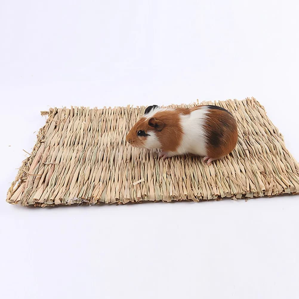 2 Pezzi Tappetino in Paglia Confortevole per Piccoli Animali Domestici, Lettiera per Gabbie di Criceti e Conigli, Tappetino per Nidificazione, Nido per Dormire, Accessorio per Animali