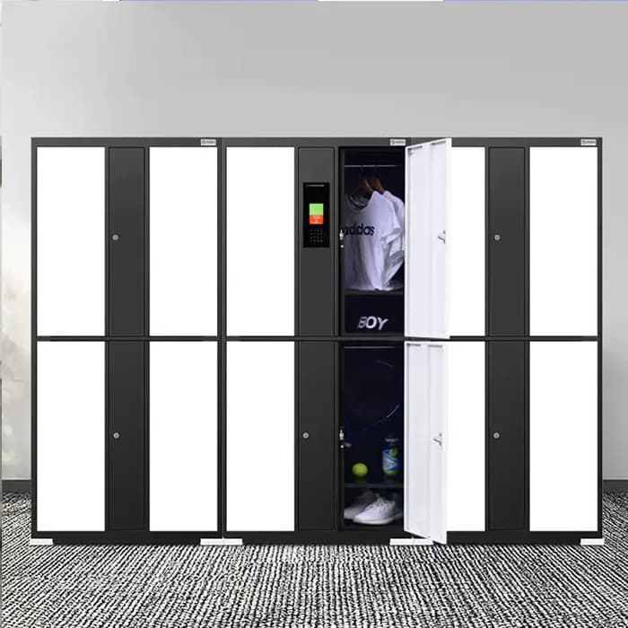 Armadietto Elettronico Intelligente per Dipendenti, con Serratura a Riconoscimento Facciale e Password, Set Guardaroba Impermeabile ed Ecologico