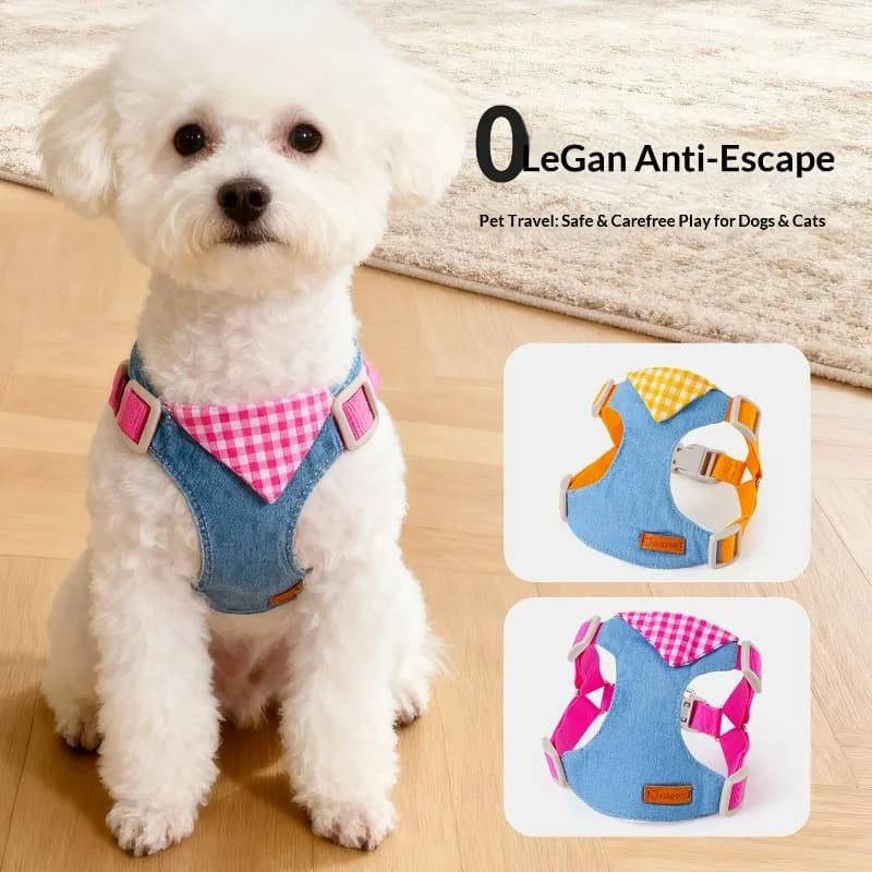 Set di guinzagli per imbracatura per cani da cowboy premium alla moda - Cintura pettorale regolabile per animali domestici Accessori moda per cuccioli di gattino morbidi e durevoli