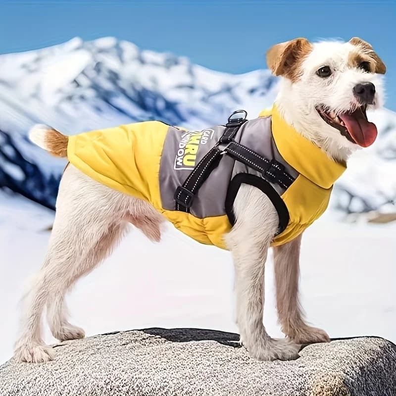 I caldi vestiti autunnali e invernali per cani possono essere tirati, color block, traspiranti, resistenti e riflettenti di notte, abbigliamento in cotone per cani