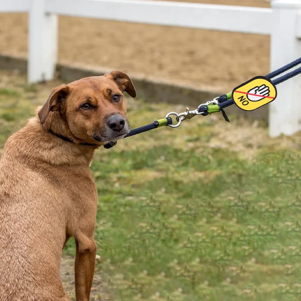 2 Pezzi Adesivi per Collare Cane, Targhette Identificative Riutilizzabili per Animali Domestici, Impermeabili, Facili da Pulire, Non da Applicare sul Guinzaglio, Identificatore Sociale, Etichetta da Appendere
