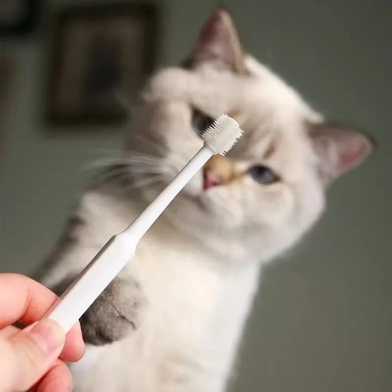 Pet Dental Care Cat Tongue Sensory Cleaning Brush 360° Pet Toothbrush Cat Toothbrush Soft Brush for Dog Mouth Cleaning Brush