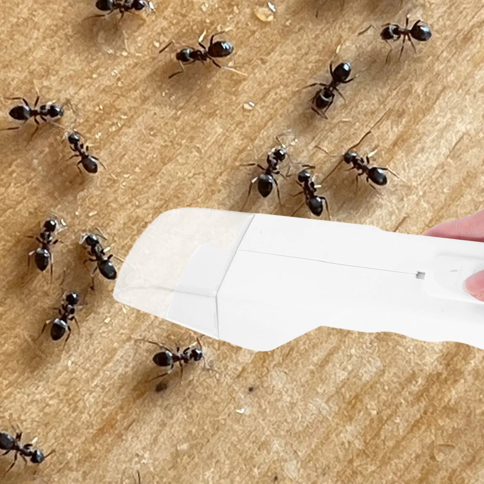 Attrezzo Portatile per Catturare Insetti con Manico Lungo Bianco, Strumento Efficiente per Rimozione di Ragni e Api per Interni ed Esterni