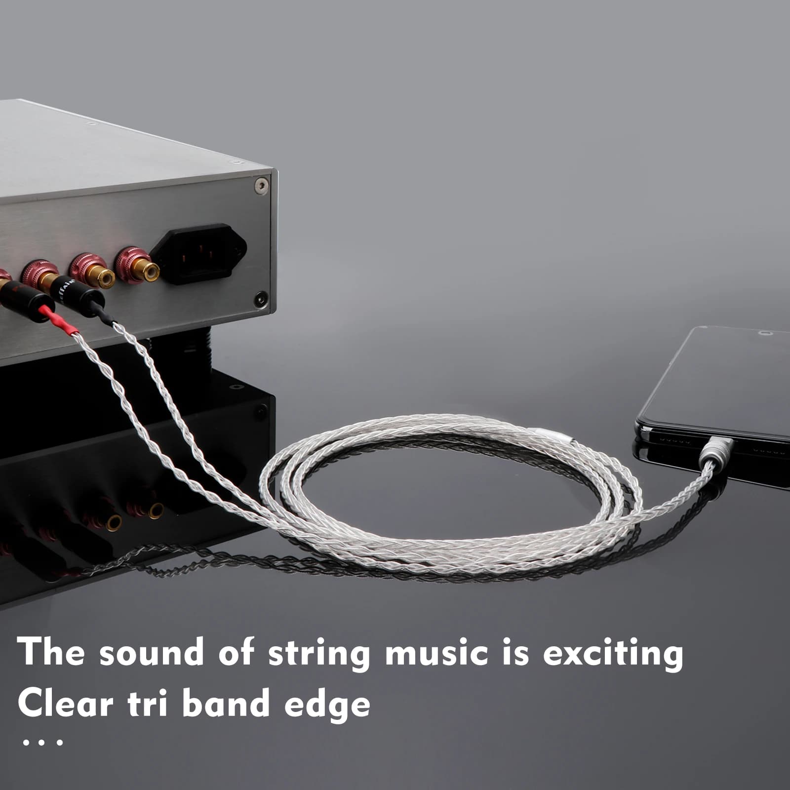 Cavo audio HIFI a 8 conduttori in argento puro da USB Type-C a 2 RCA per amplificatore di altoparlanti per cellulari