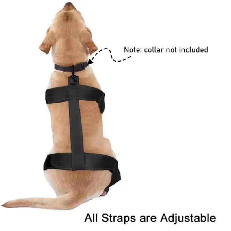 CQMF-Dog Suspender Boots: Stivali Antiscivolo Impermeabili per Cani, Protezioni Regolabili per Zampe da Neve, Pioggia ed Escursionismo - Taglia M