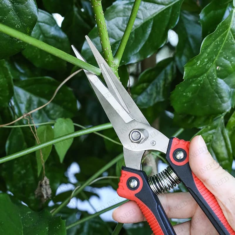 Sharp Gardening Shears with Anti Slip Handles Made of Stainless Steel for Pruning Trees, Flowers, Fruits, and Vegetables