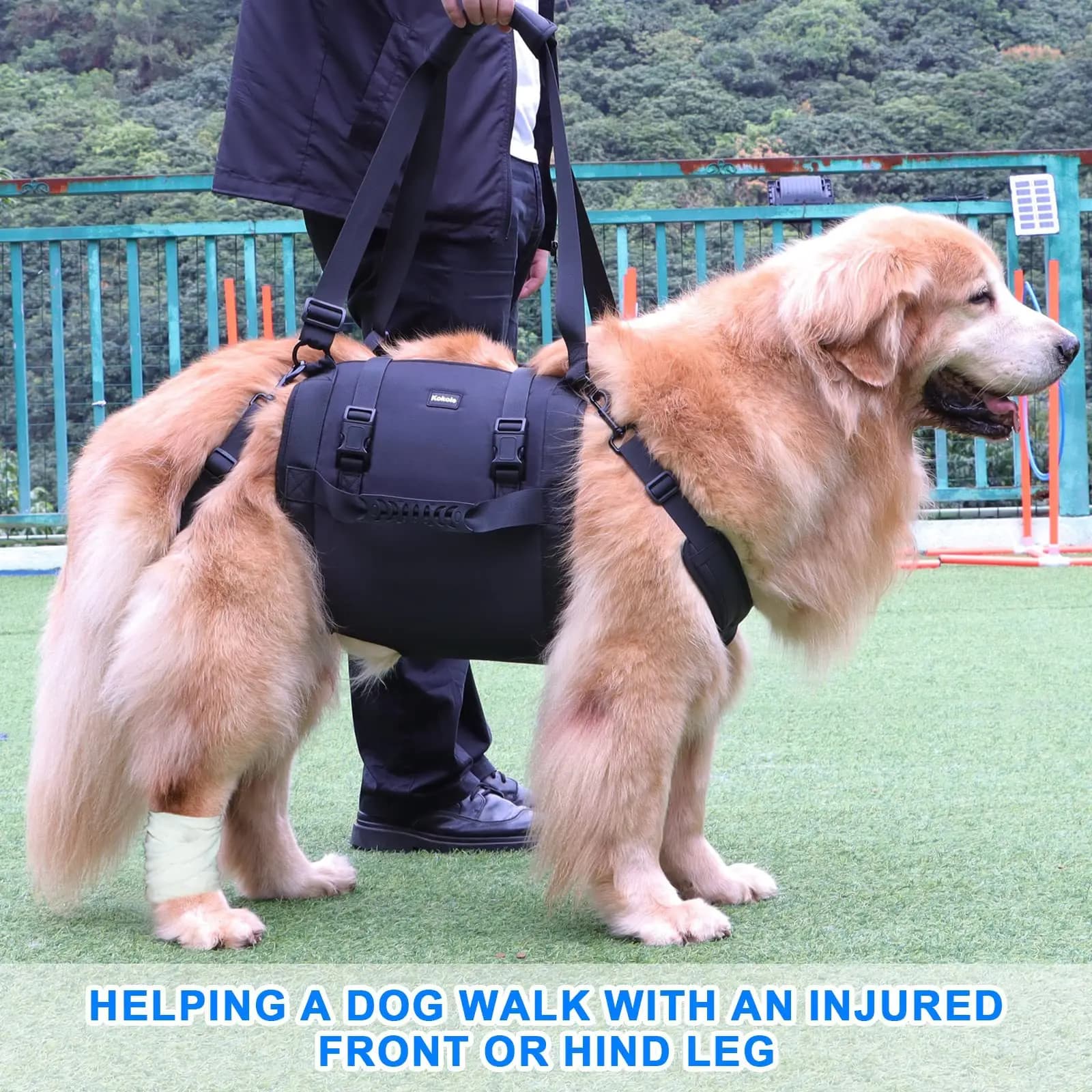 Imbracatura/sling per sollevamento cani di grandi dimensioni - Trasportino di emergenza per cani anziani con artrite e lesioni articolari - Supporto per aiutare e riabilitare le scale