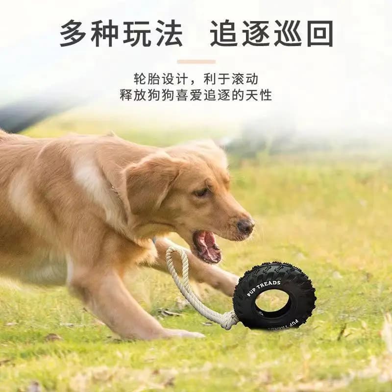 Massaggiagengive per cani Addestramento Giocattolo da masticare per cani da compagnia Giochi di addestramento Spazzolino da denti per animali domestici Molare Allevia la noia Giocattolo per cani Giocattoli a forma di pneumatico