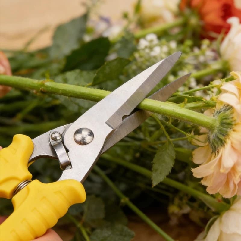 Multifunction Scissors, Cable Tronchesis, Electricist Grips, Spelacavi Grips, Electric Cable Tronchesis, Garden Shears