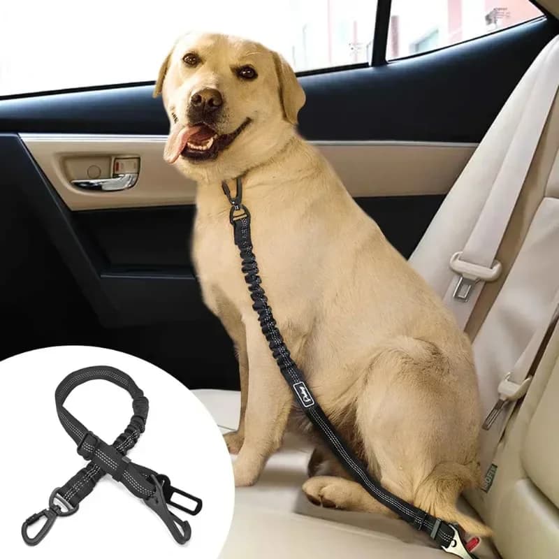 Pet Dog Cat Cintura di sicurezza per auto Imbracatura Veicolo Guinzaglio di sicurezza regolabile Guinzaglio retrattile Corda di trazione per cani Viaggi Forniture per animali domestici